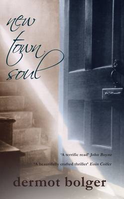 Book cover for New Town Soul