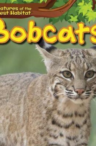 Cover of Bobcats