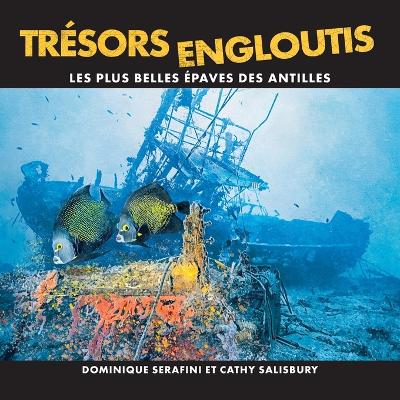 Book cover for Tresors Engloutis