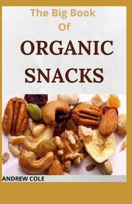 Book cover for The Big Book Of ORGANIC SNACKS