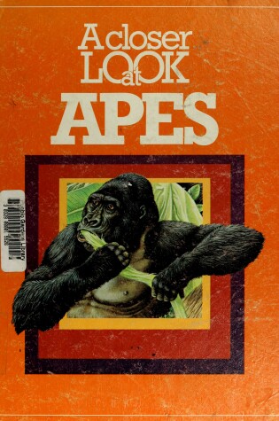 Cover of A Closer Look at Apes