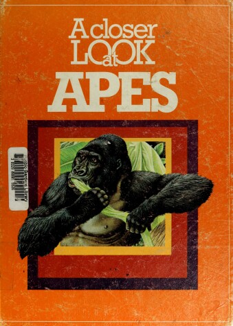 Book cover for A Closer Look at Apes