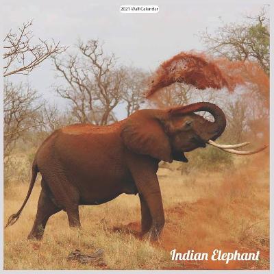 Book cover for Indian Elephant 2021 Wall Calendar