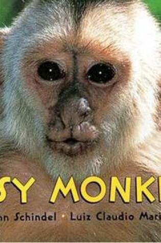 Cover of Busy Monkeys