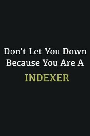 Cover of Don't let you down because you are a Indexer