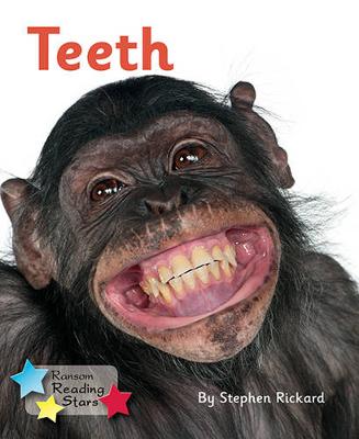 Book cover for Teeth