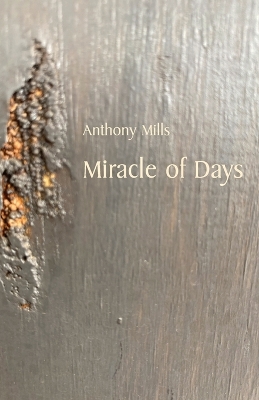 Book cover for Miracle of Days