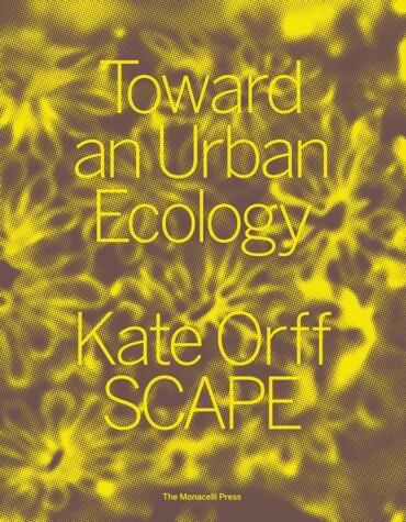 Book cover for Toward an Urban Ecology