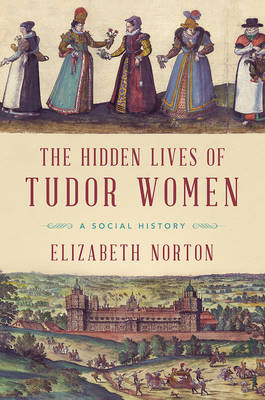 Book cover for The Hidden Lives of Tudor Women