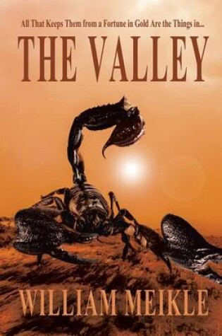 Cover of The Valley