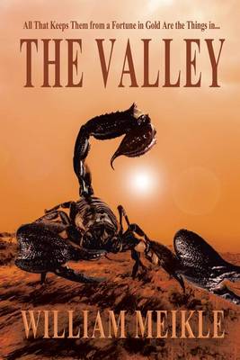 Book cover for The Valley