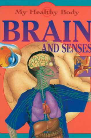Cover of My Healthy Body: Brain and Senses