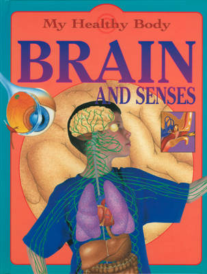 Book cover for My Healthy Body: Brain and Senses