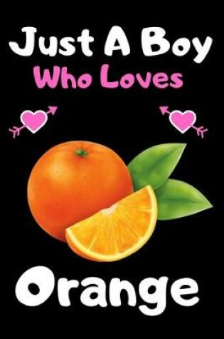 Cover of Just a boy who loves orange