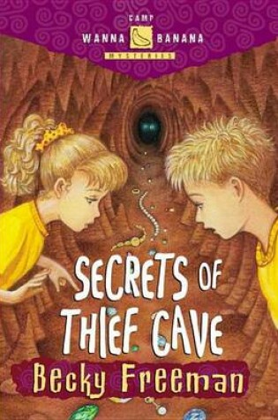 Cover of Secrets of Thief Cave