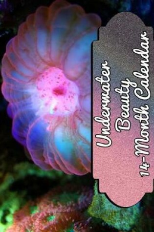 Cover of Underwater Beauty