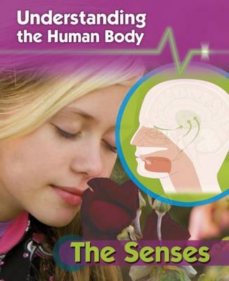 Book cover for Understanding the Human Body: The Senses