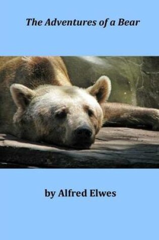 Cover of The Adventures of a Bear