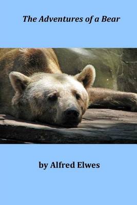 Book cover for The Adventures of a Bear