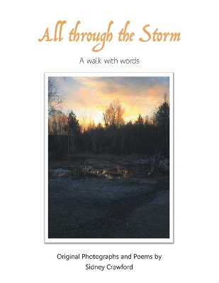 Cover of All Through the Storm