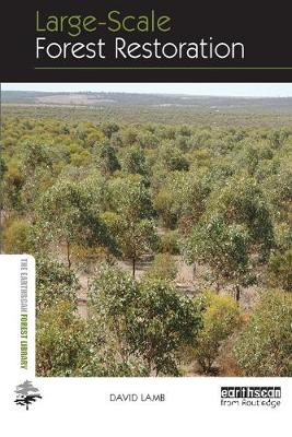 Book cover for Large-scale Forest Restoration