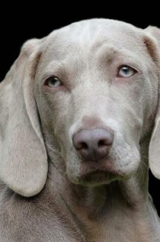 Cover of Super Cute Weimaraner Puppy Journal