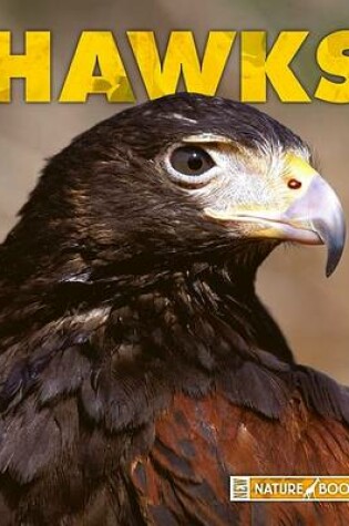 Cover of Hawks