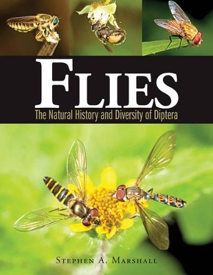 Book cover for Flies: The Natural History and Diversity of Diptera