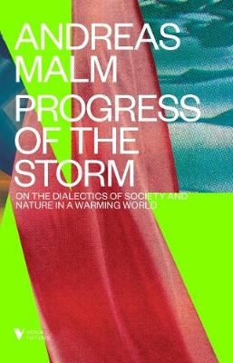 Book cover for The Progress of This Storm