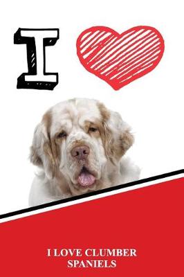 Book cover for I Love Clumber Spaniels