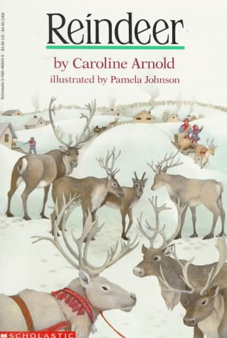 Book cover for Reindeer