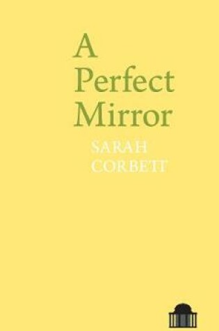 Cover of A Perfect Mirror