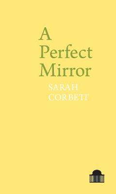 Cover of A Perfect Mirror