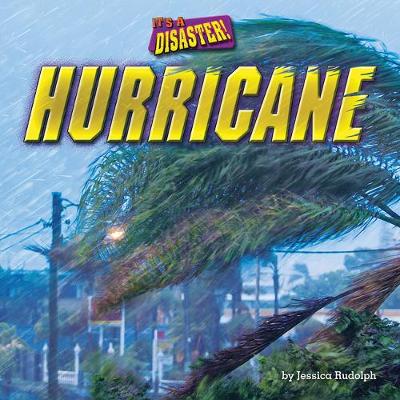 Book cover for Hurricane