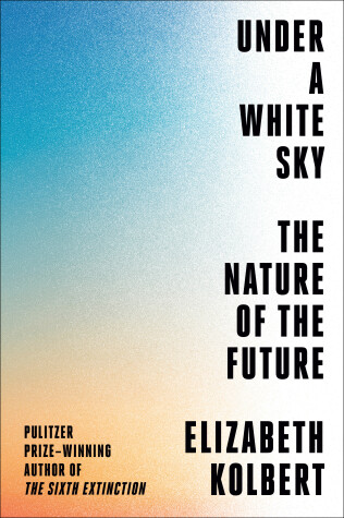 Book cover for Under a White Sky