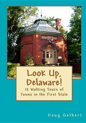 Book cover for Look Up, Delaware!