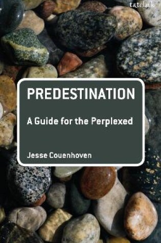 Cover of Predestination: A Guide for the Perplexed