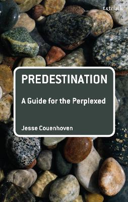 Book cover for Predestination: A Guide for the Perplexed