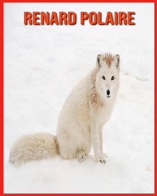 Book cover for Renard Polaire