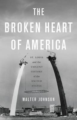 Book cover for The Broken Heart of America