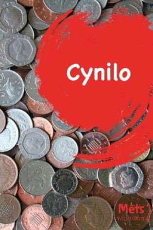 Cover of Mêts Maesllan 2 - Cynilo