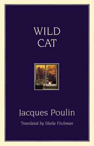 Book cover for Wild Cat