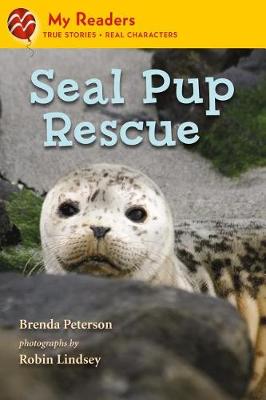 Book cover for Seal Pup Rescue