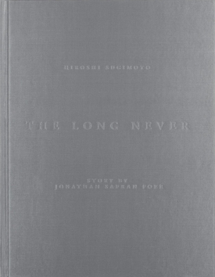 Book cover for The Long Never