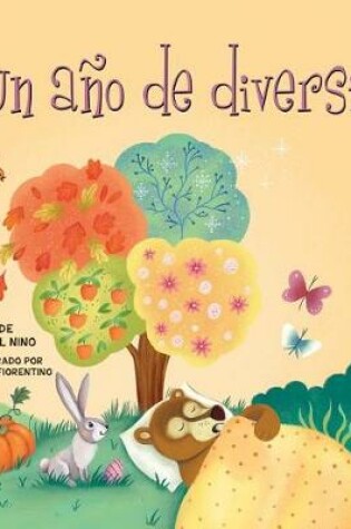 Cover of Un Ano de Diversion (a Year of Fun)