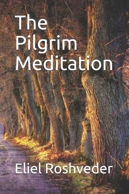 Book cover for The Pilgrim Meditation