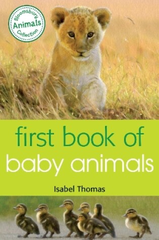 Cover of First Book of Baby Animals