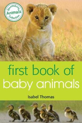Cover of First Book of Baby Animals