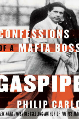 Cover of Gaspipe