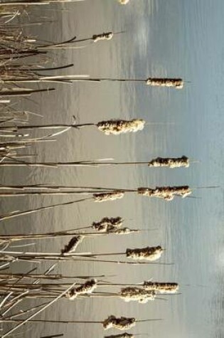 Cover of Cattails Bulrush and Reeds on the Shore of the Pond Journal